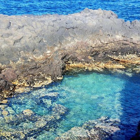 Finca Los Loros Icod De Los Vinos By Hrtenerife Net Santa Cruz de Tenerife Kültér fotó