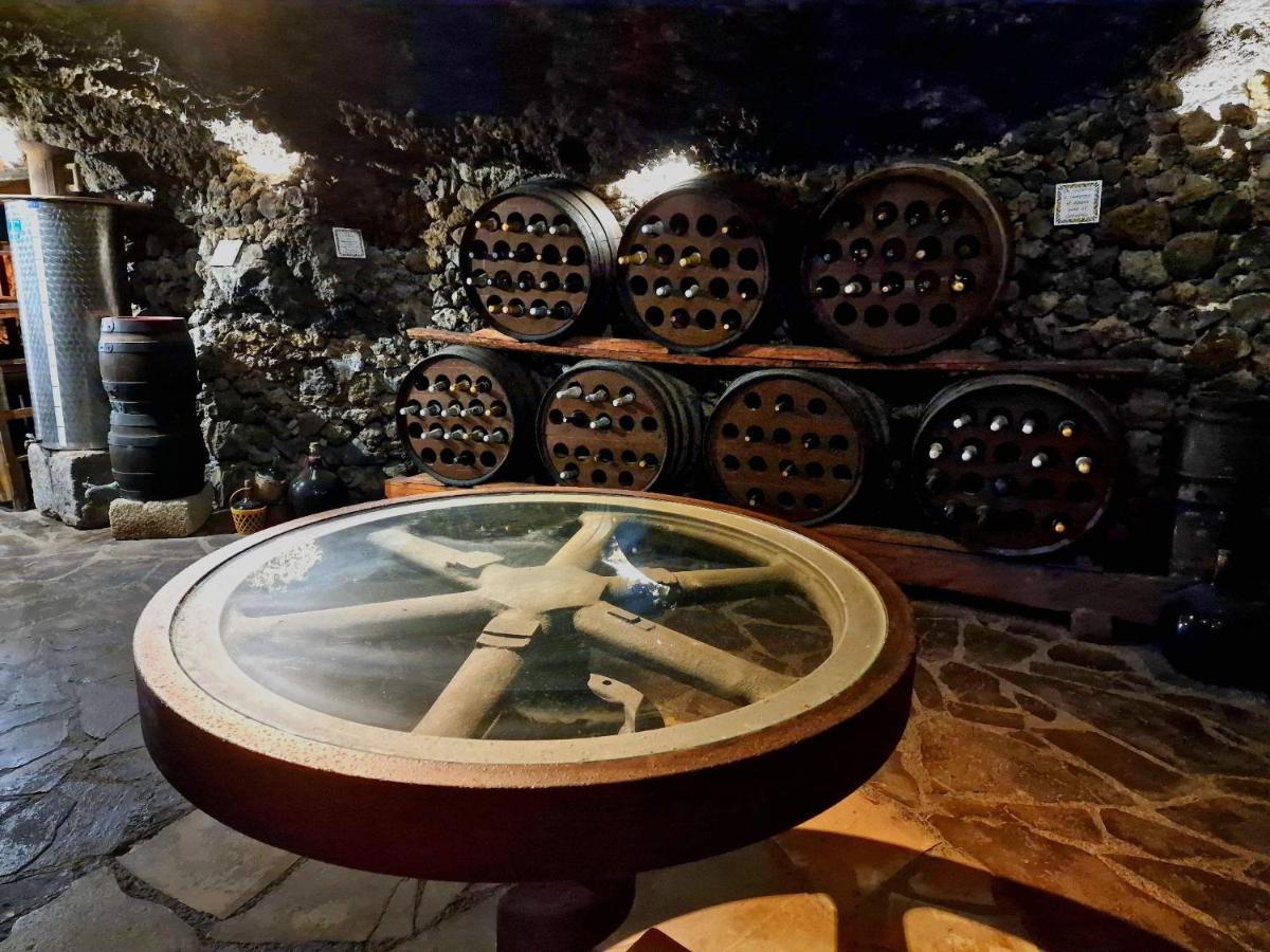 Finca Los Loros Icod De Los Vinos By Hrtenerife Net Santa Cruz de Tenerife Kültér fotó